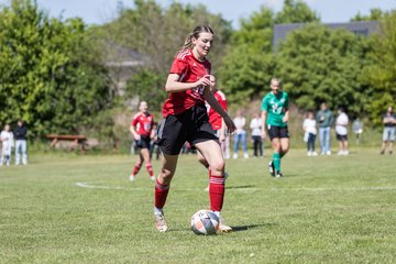 Bild 156 - F SG NieBar - IF Stjernen Flensborg : Ergebnis: 2:0